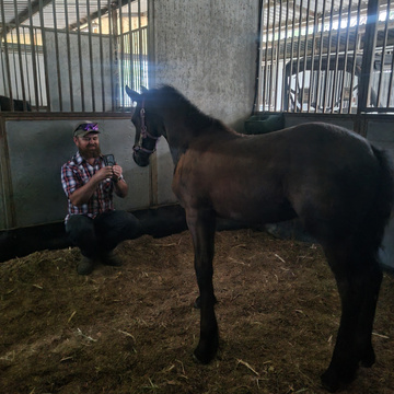 Fabian of Roselee Weaning Stable